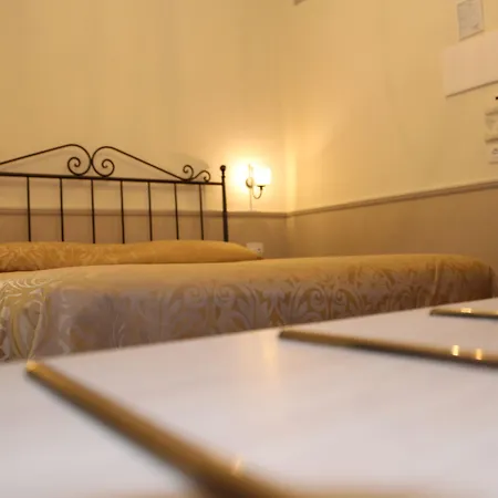 酒店 弗拉维亚酒店 罗马