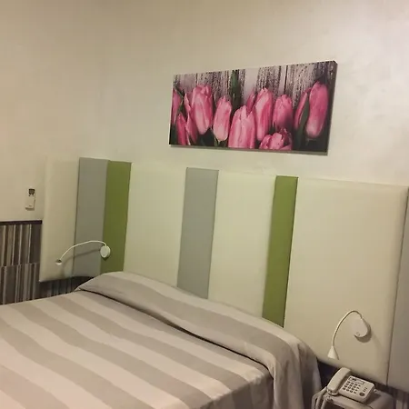 弗拉维亚酒店 酒店 罗马